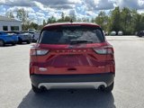 Used 2022 Ford Escape SEL image 6