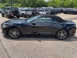 Used 2016 Ford Mustang Premium image 2