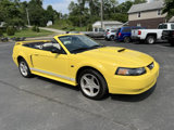 Used 2002 Ford Mustang GT image 3