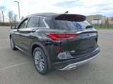 New 2025 INFINITI QX50 Luxe image 4