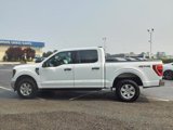Certified 2023 Ford F150 XLT w/ Equipment Group 301A Mid image 2