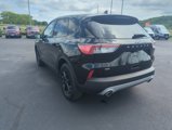 Certified 2020 Ford Escape SE Sport image 3