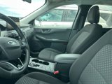Used 2023 Ford Escape Active image 4
