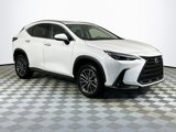 Used 2024 Lexus NX 250 FWD w/ Premium Package image 3