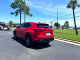 Used 2024 Lexus NX 250 FWD image 6