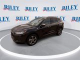 Certified 2024 Ford Escape ST-Line w/ Tech Pack #1 image 4