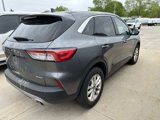 Used 2022 Ford Escape SE w/ Convenience Package image 4
