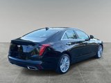 New 2025 Cadillac CT4 Premium Luxury image 5