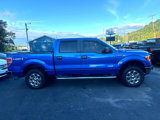 Used 2013 Ford F150 XLT w/ Luxury Equipment Group image 4