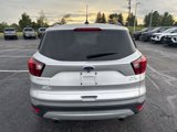 Used 2019 Ford Escape SEL image 4