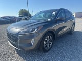 Used 2020 Ford Escape SEL image 2