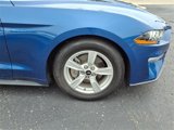 Used 2022 Ford Mustang Coupe image 4
