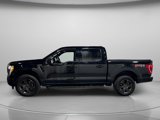 Used 2021 Ford F150 XLT w/ Equipment Group 302A High image 2