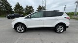 Certified 2017 Ford Escape SE w/ SE Cold Weather Package image 6
