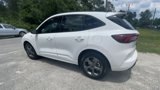 New 2024 Ford Escape ST-Line w/ Cold Weather Package image 6