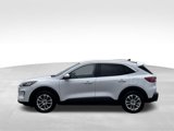 Used 2020 Ford Escape SE image 2