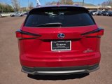 Certified 2021 Lexus NX 300h AWD w/ Accessory Package image 4