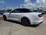 Used 2021 Ford Mustang Premium image 4
