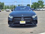 Used 2019 Mercedes-Benz CLS 450 4MATIC image 2
