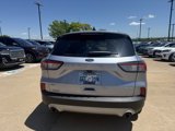 Used 2022 Ford Escape SE w/ Convenience Package image 6