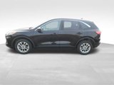 Used 2020 Ford Escape SE image 2