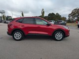 New 2025 Ford Escape Active w/ Tech Pack #1 image 4