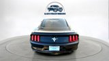 Used 2016 Ford Mustang Coupe w/ Equipment Group 051A image 4