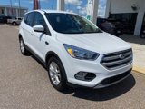 Certified 2019 Ford Escape SE image 3