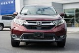 Used 2019 Honda CR-V EX-L image 2