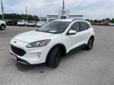 Used 2020 Ford Escape SEL image 4