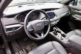 Used 2023 Cadillac XT4 Premium Luxury image 4