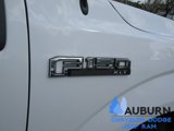 Used 2019 Ford F150 XLT image 6