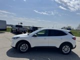 Used 2022 Ford Escape SE w/ Convenience Package image 5