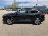 Used 2020 Ford Escape SEL image 5