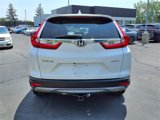 Used 2019 Honda CR-V EX image 6