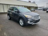 Used 2019 Ford Escape SE image 5