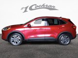 Used 2020 Ford Escape SEL image 4