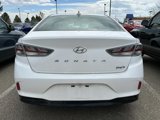 Used 2019 Hyundai Sonata Plug-In Hybrid image 5