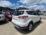 Used 2014 Ford Escape SE w/ Equipment Group 201A image 3