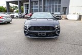 Used 2021 Ford Mustang Coupe w/ Equipment Group 101A image 4