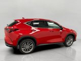 Used 2025 Lexus NX 350 AWD w/ Premium Package image 2