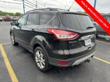 Used 2013 Ford Escape SEL image 5