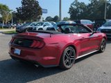 Used 2023 Ford Mustang Premium image 4