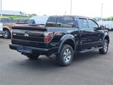 Used 2013 Ford F150 FX4 w/ Luxury Equipment Group image 5