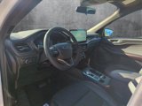 New 2025 Ford Escape ST-Line w/ Tech Pack #1 image 4