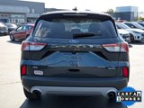 Certified 2022 Ford Escape SE w/ Convenience Package image 5