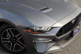 Certified 2023 Ford Mustang GT Premium w/ Equipment Group 401A image 2