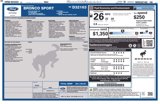 Used 2022 Ford Bronco Sport Big Bend w/ Convenience Package image 4