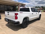 Used 2021 Chevrolet Silverado 1500 Custom Trail Boss w/ Safety Confidence Package image 3