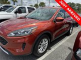 Used 2020 Ford Escape SE image 3